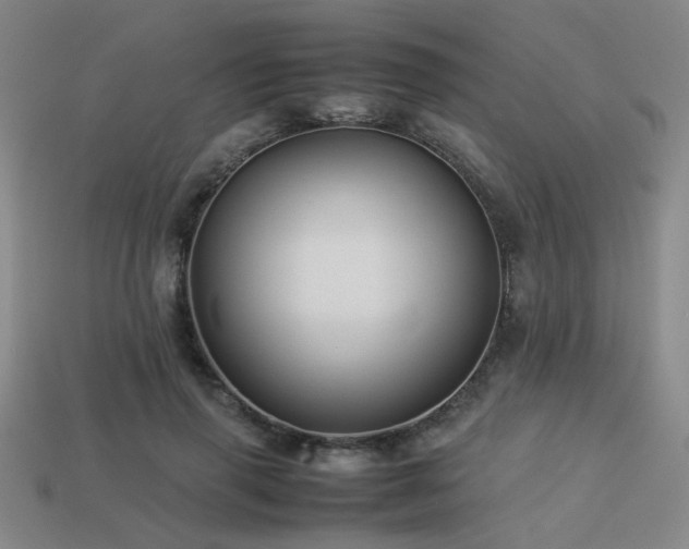X0000113220645200909101151