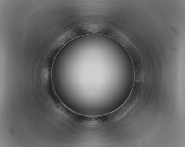 X0000113220646200909101151
