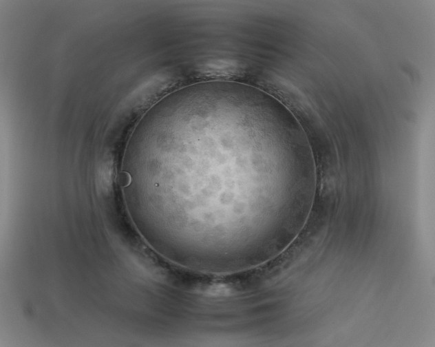 X0000113220647200909101151
