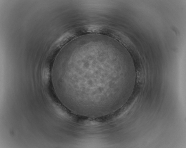 X0000113220648200909101151