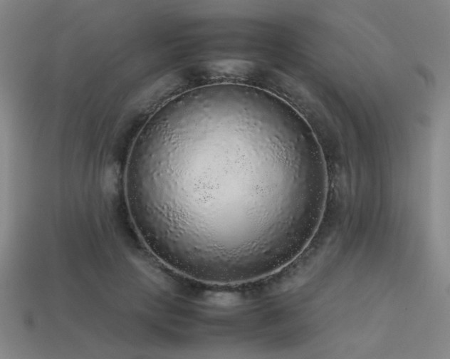 X0000113220649200909101151