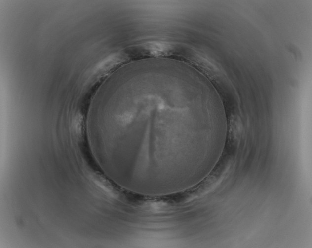 X0000113220650200909101151