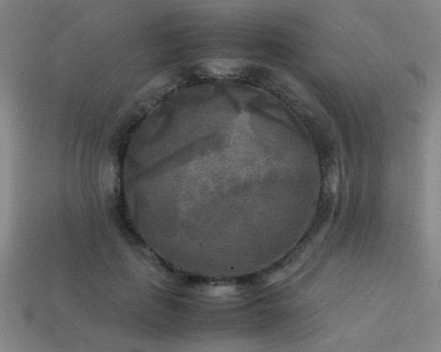 X0000113220651200909101151
