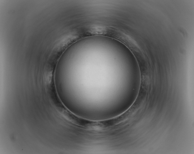 X0000113220652200909101151
