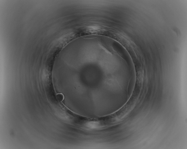 X0000113220653200909101151