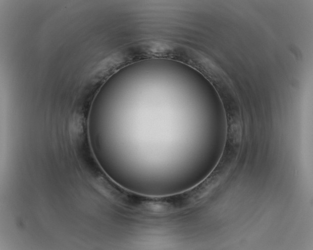 X0000113220654200909101151