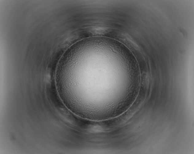 X0000113220655200909101151