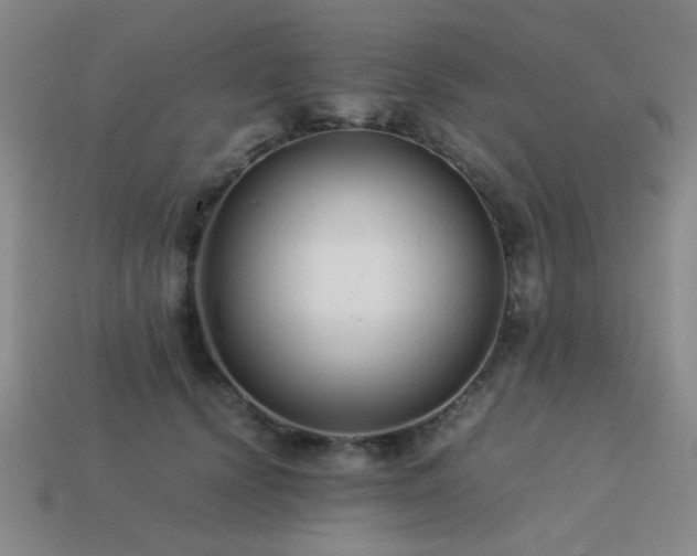 X0000113220656200909101151