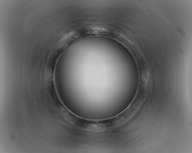 X0000113220657200909101151