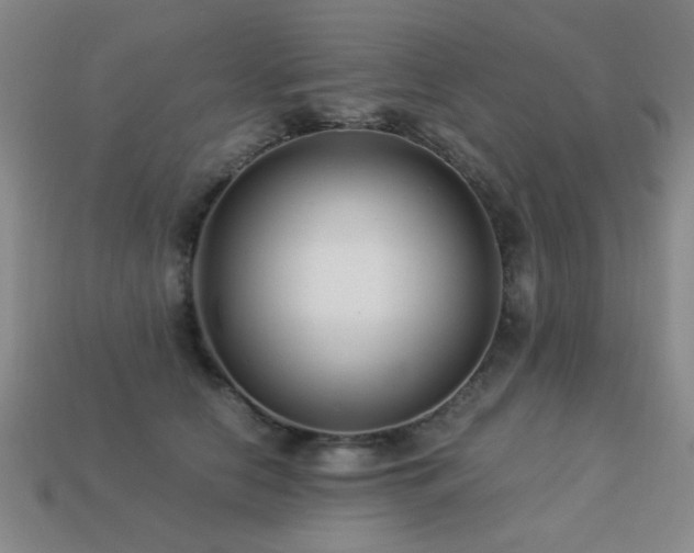 X0000113220658200909101151