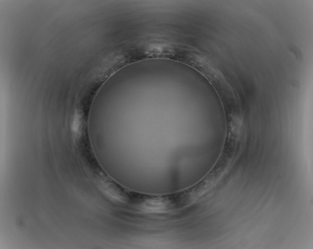 X0000113220659200909101151