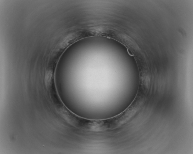 X0000113220660200909101151