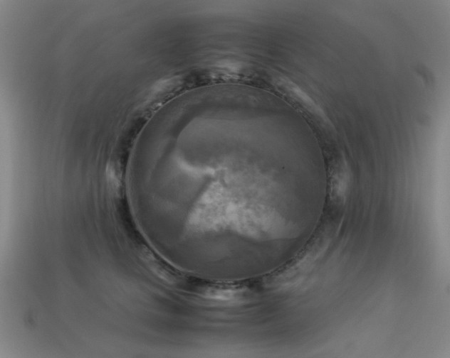 X0000113220661200909101151