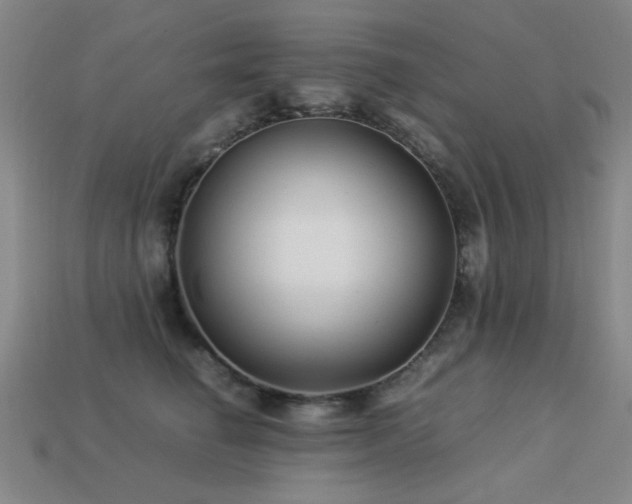 X0000113220662200909101151