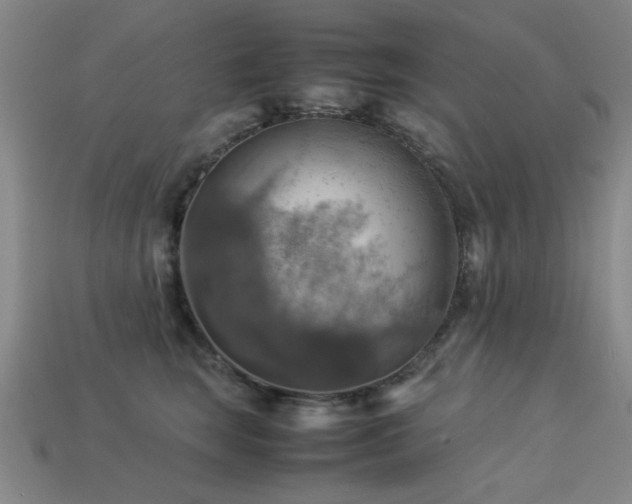 X0000113220663200909101151
