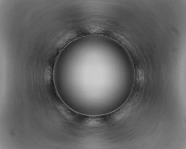 X0000113220664200909101151