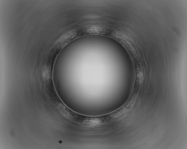 X0000113220665200909101151