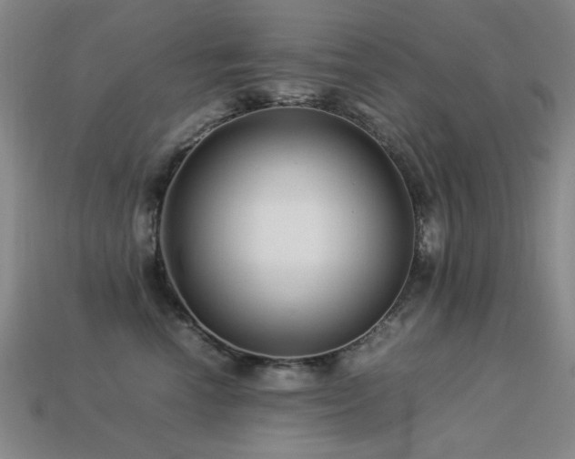 X0000113220666200909101151
