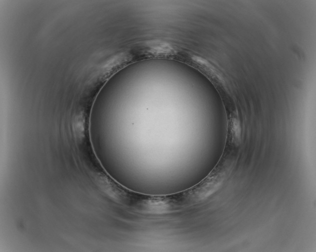 X0000113220668200909101151