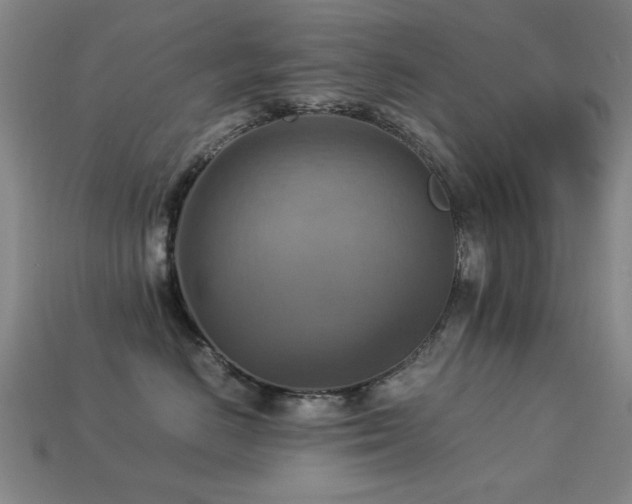 X0000113220670200909101151