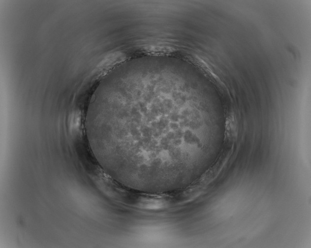 X0000113220671200909101151