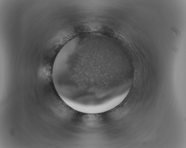 X0000113220672200909101151