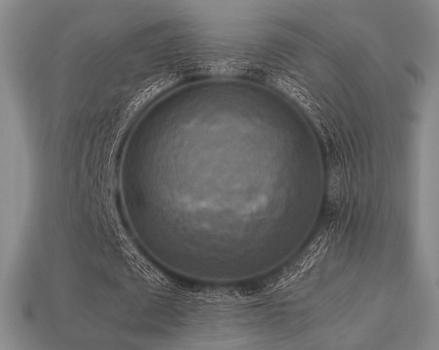 X0000113220673200909101150