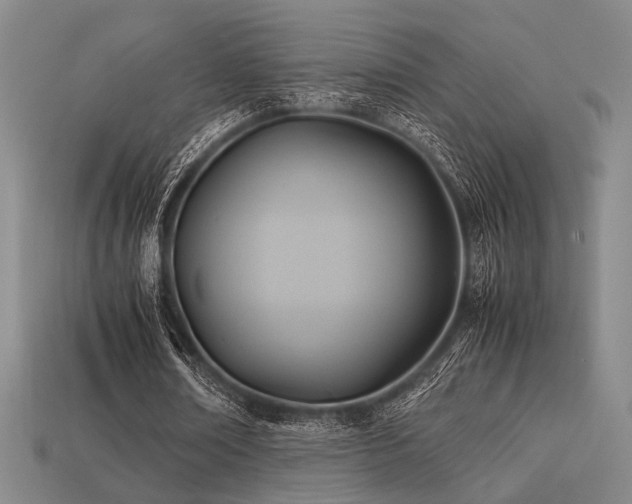 X0000113220674200909101150