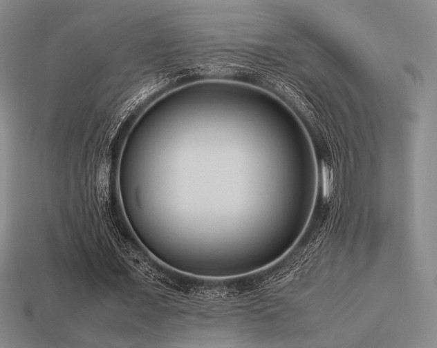 X0000113220675200909101150