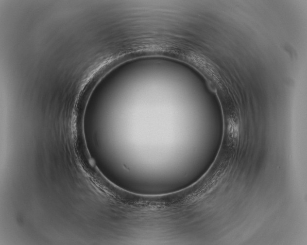 X0000113220676200909101150