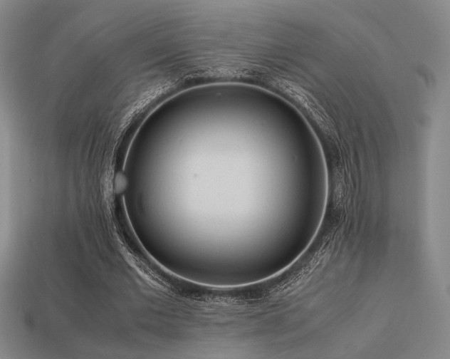 X0000113220677200909101150