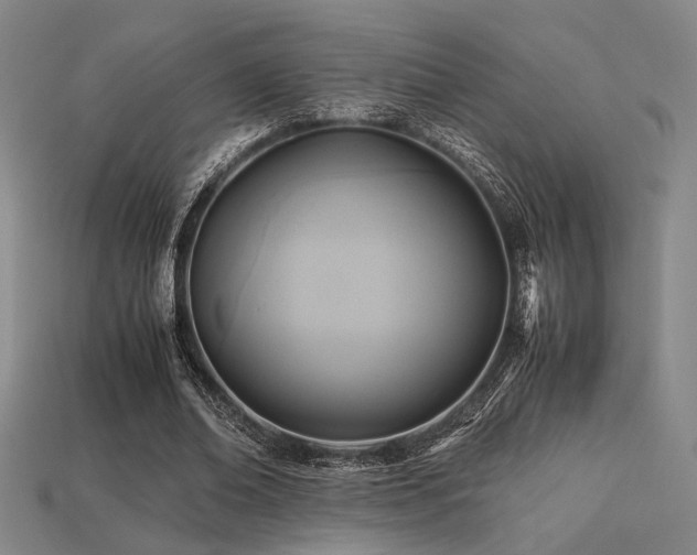 X0000113220678200909101150