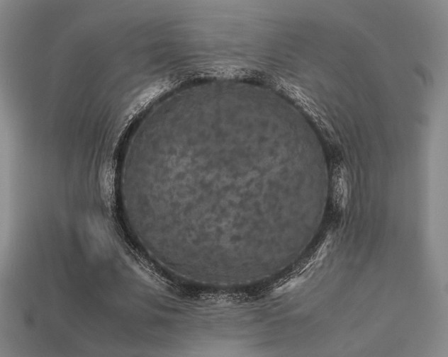 X0000113220679200909101150