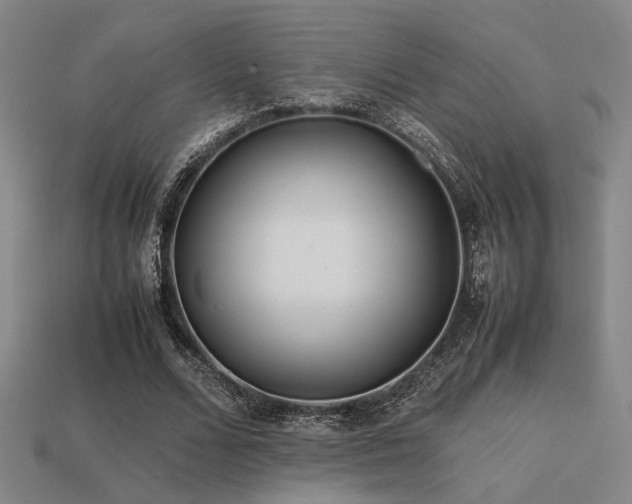 X0000113220680200909101150