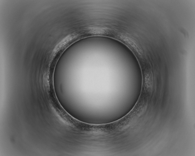 X0000113220682200909101150