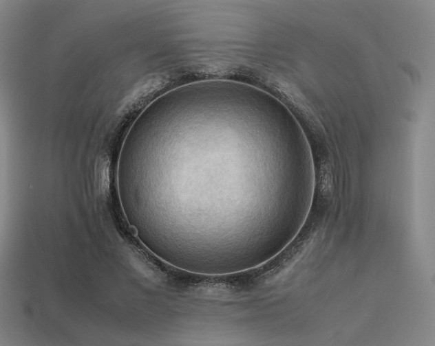 X0000113220685200909101150
