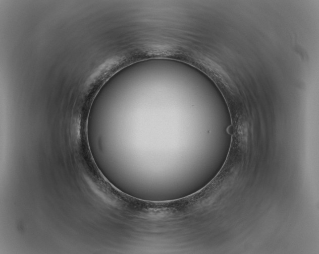 X0000113220686200909101150