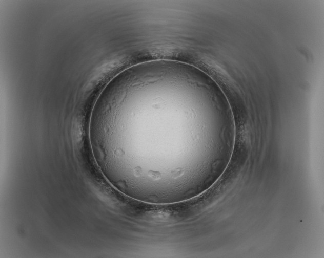 X0000113220687200909101150
