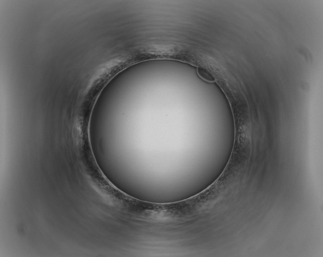 X0000113220688200909101150
