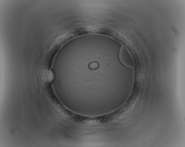 X0000113220689200909101150