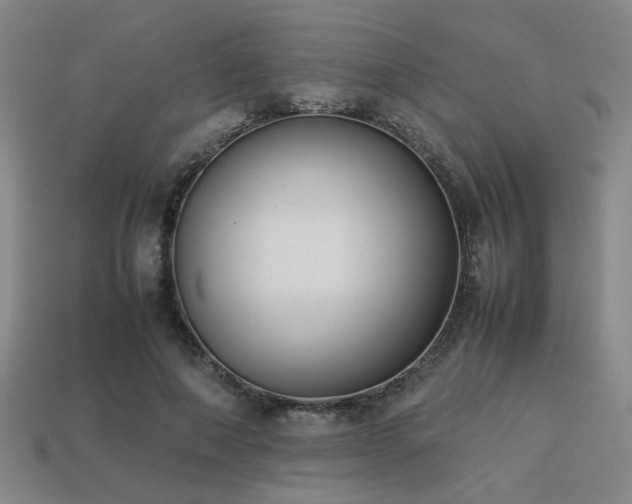 X0000113220690200909101150