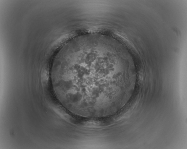 X0000113220691200909101150