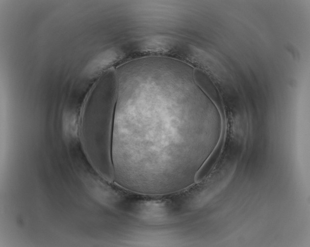 X0000113220692200909101150