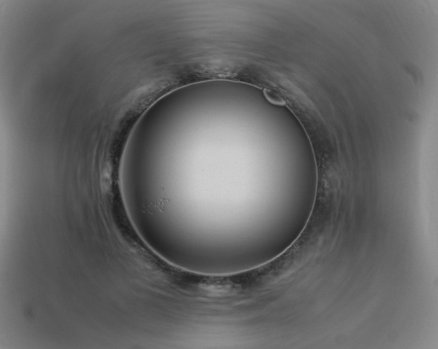 X0000113220693200909101150