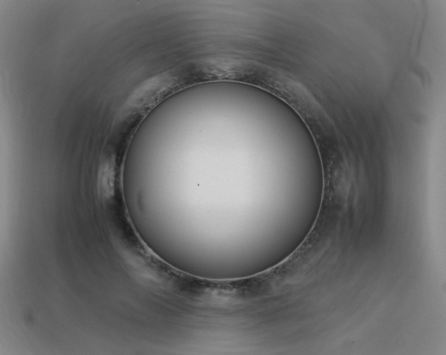 X0000113220694200909101150
