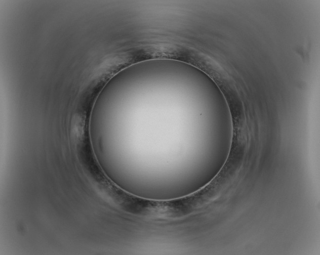 X0000113220695200909101150