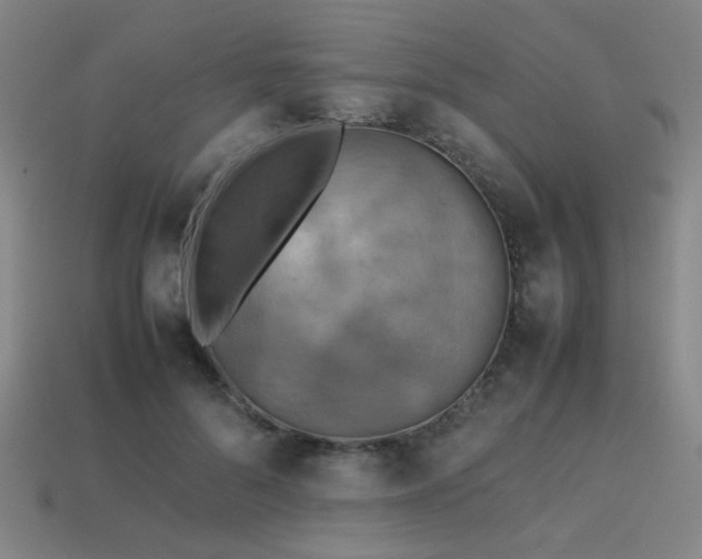 X0000113220696200909101150