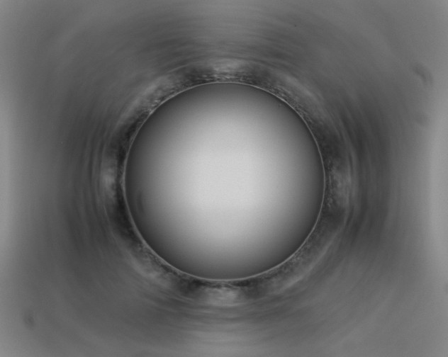 X0000113220698200909101150