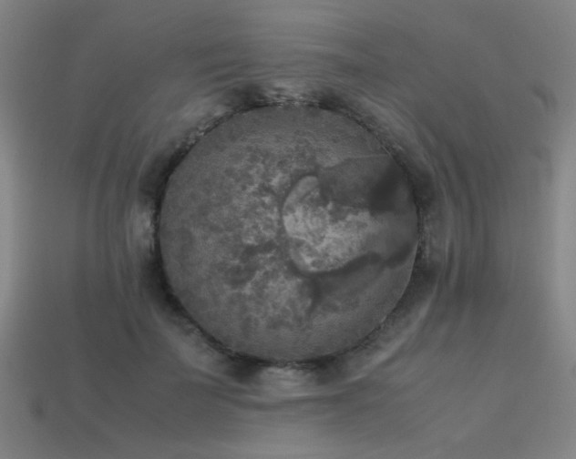 X0000113220699200909101150