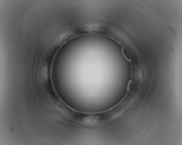 X0000113220700200909101150
